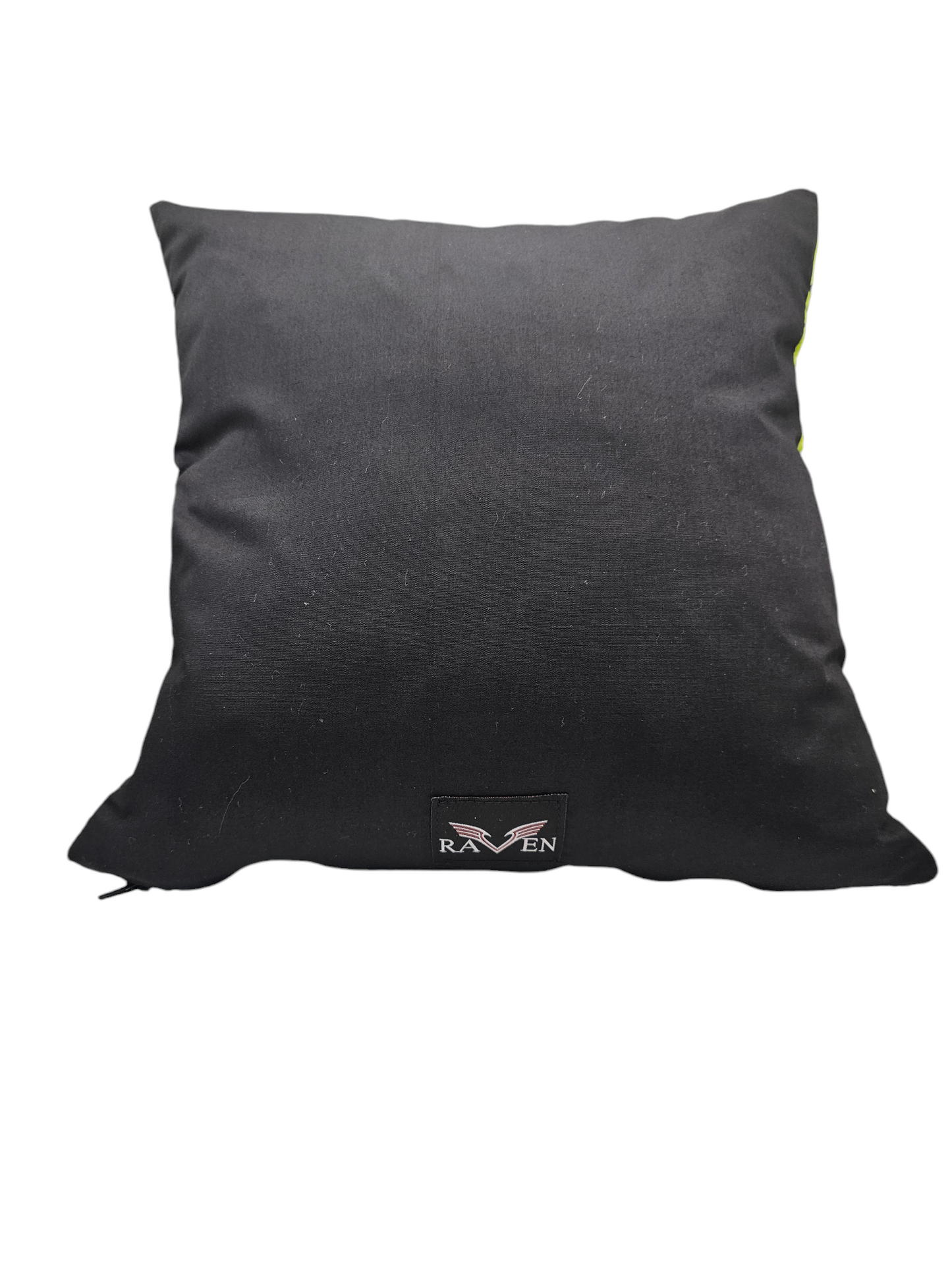 Mayhem cushion Dancing Skeletons