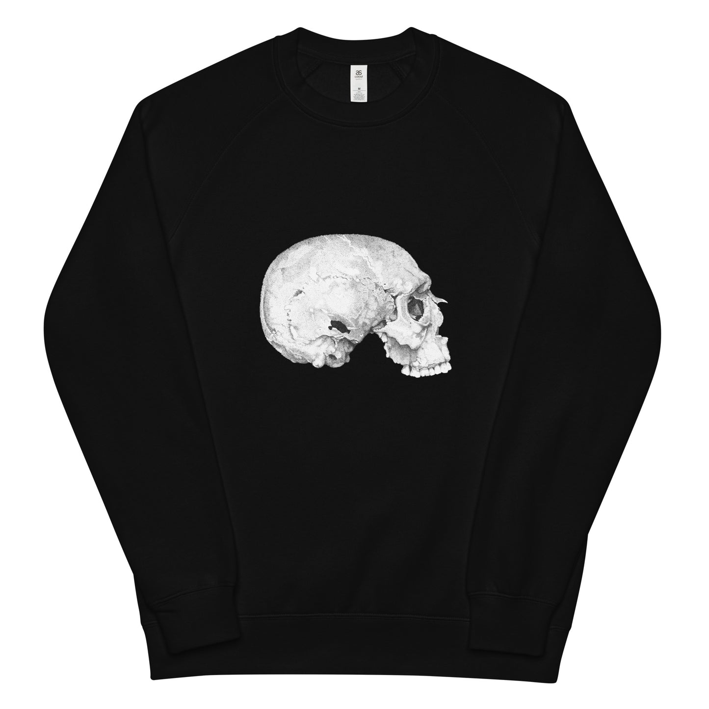 Unisex raglan sweatshirt