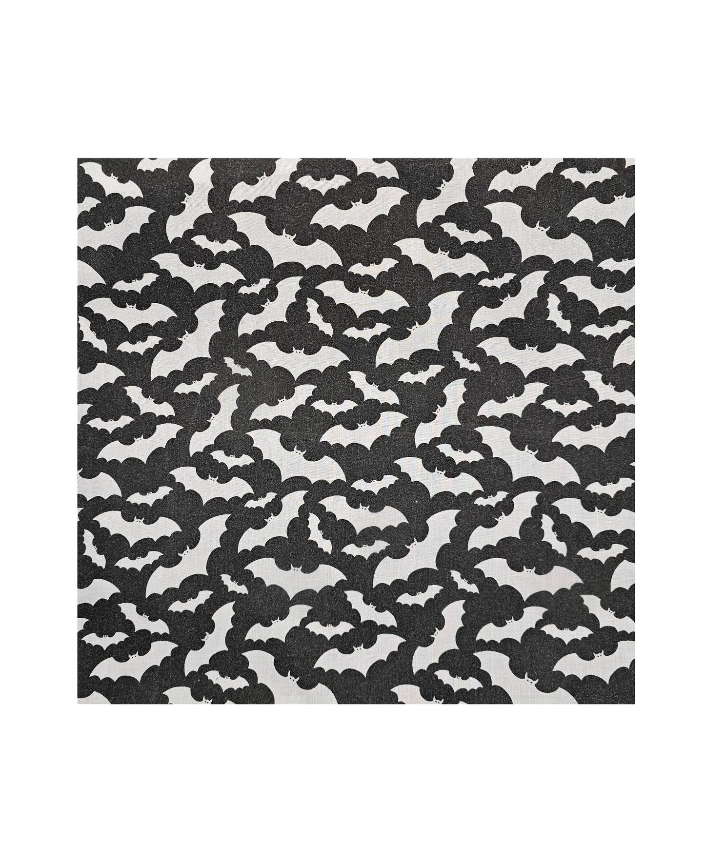 Mayhem cushion Grey Cats