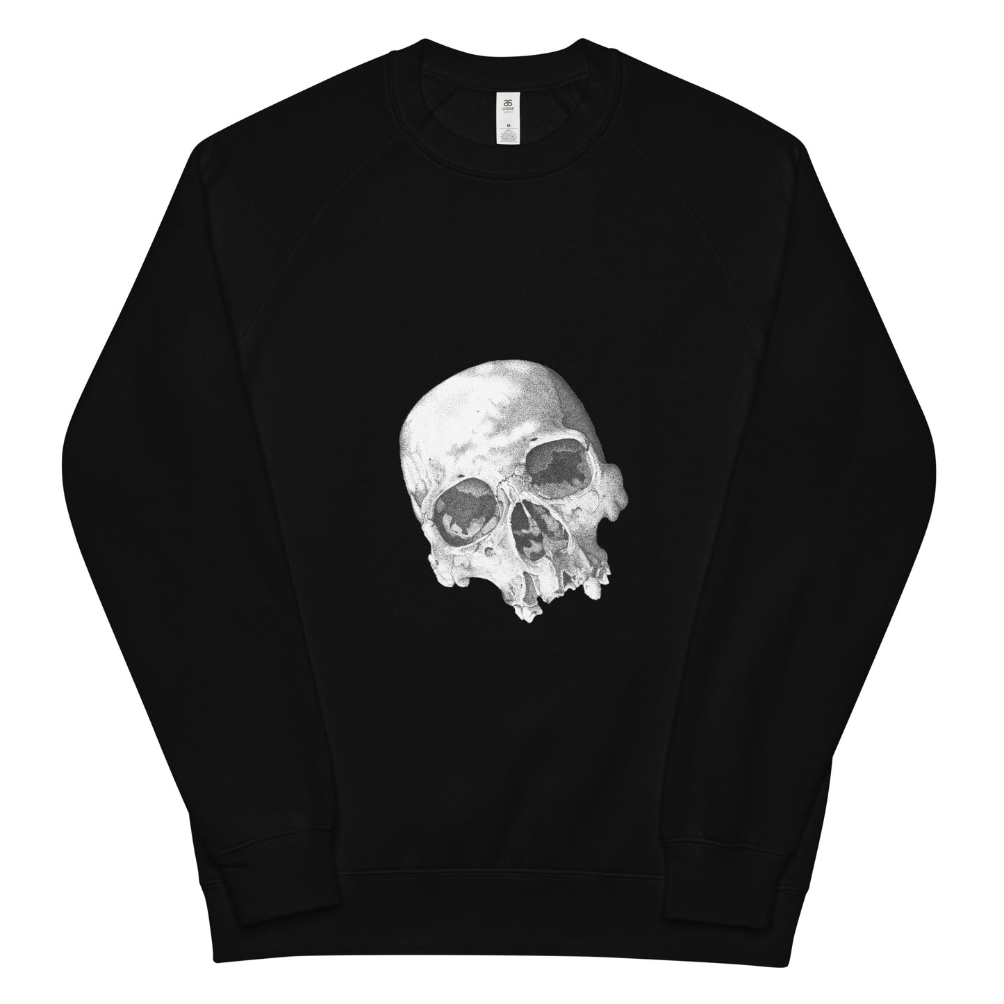 Unisex raglan sweatshirt
